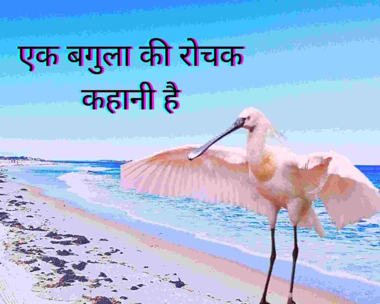 short story in hindi